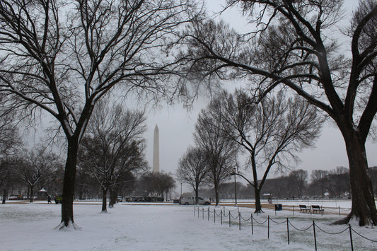 DMV Winter Wonderland: Snow-Covered Streets & Landmarks