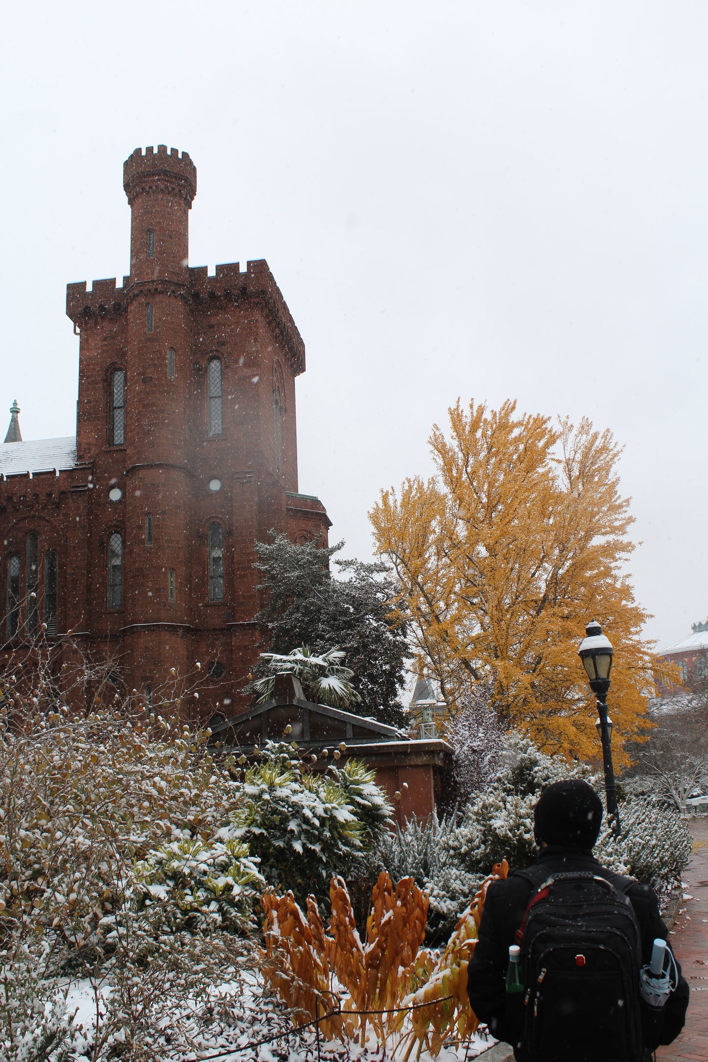 DMV Winter Wonderland: Snow-Covered Streets & Landmarks